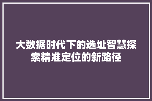 大数据时代下的选址智慧探索精准定位的新路径