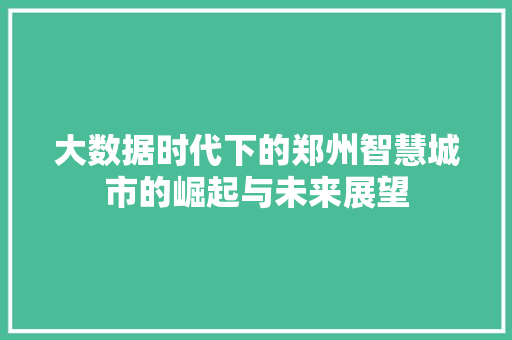 大数据时代下的郑州智慧城市的崛起与未来展望 大数据时代下的郑州智慧城市的崛起与未来展望