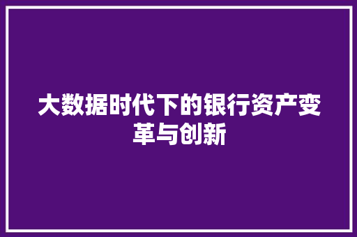 大数据时代下的银行资产变革与创新