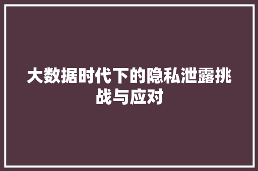 大数据时代下的隐私泄露挑战与应对 大数据时代下的隐私泄露挑战与应对