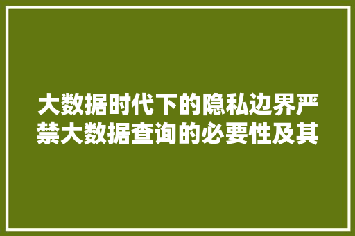 大数据时代下的隐私边界严禁大数据查询的必要性及其影响