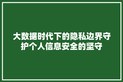 大数据时代下的隐私边界守护个人信息安全的坚守 大数据时代下的隐私边界守护个人信息安全的坚守