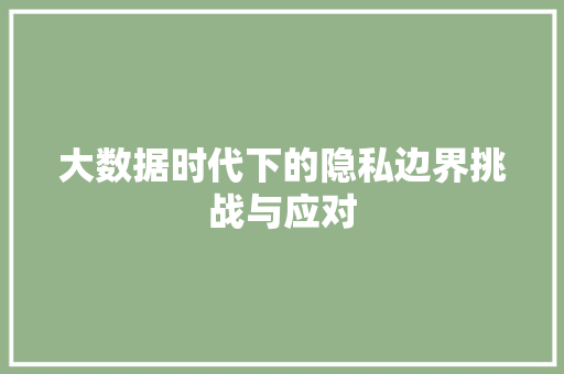 大数据时代下的隐私边界挑战与应对 大数据时代下的隐私边界挑战与应对