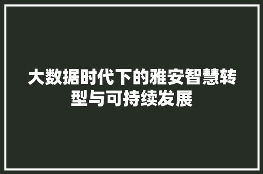 大数据时代下的雅安智慧转型与可持续发展