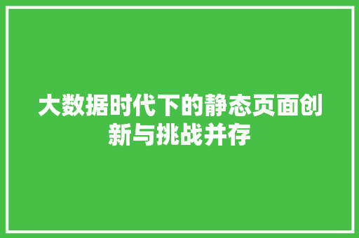 大数据时代下的静态页面创新与挑战并存