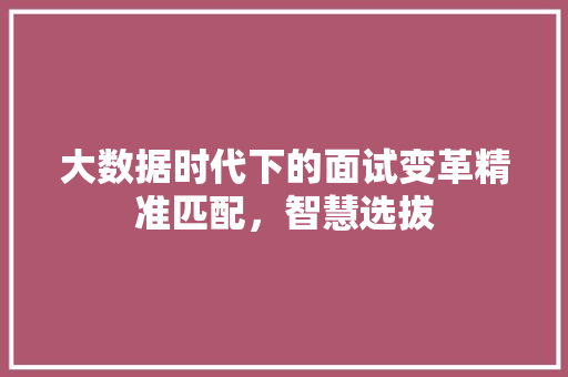 大数据时代下的面试变革精准匹配，智慧选拔