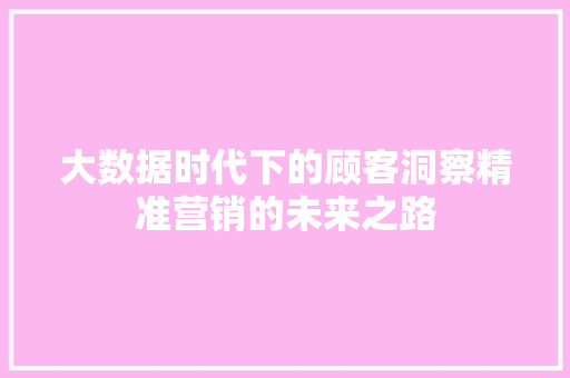 大数据时代下的顾客洞察精准营销的未来之路
