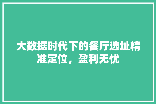 大数据时代下的餐厅选址精准定位，盈利无忧