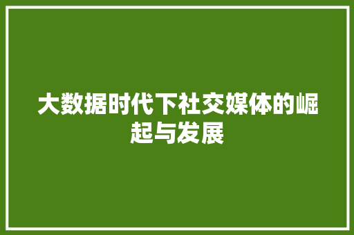 大数据时代下社交媒体的崛起与发展