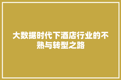 大数据时代下酒店行业的不熟与转型之路