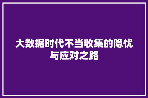 大数据时代不当收集的隐忧与应对之路