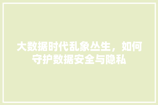 大数据时代乱象丛生，如何守护数据安全与隐私