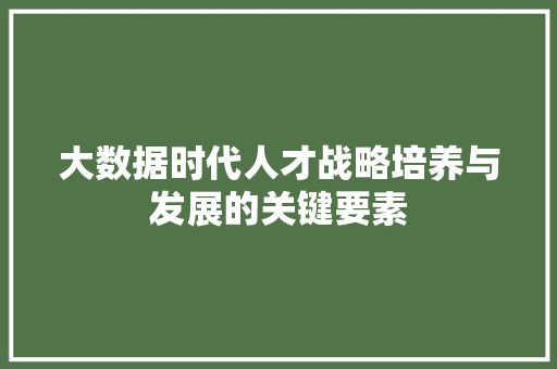 大数据时代人才战略培养与发展的关键要素 大数据时代人才战略培养与发展的关键要素