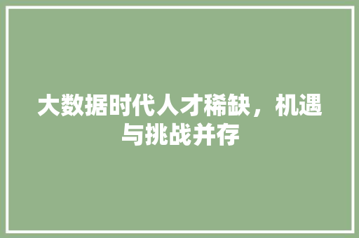 大数据时代人才稀缺，机遇与挑战并存