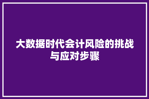 大数据时代会计风险的挑战与应对步骤