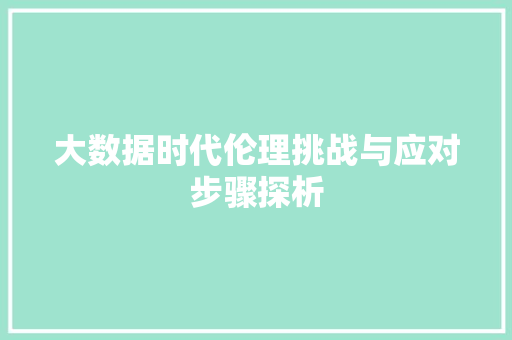 大数据时代伦理挑战与应对步骤探析
