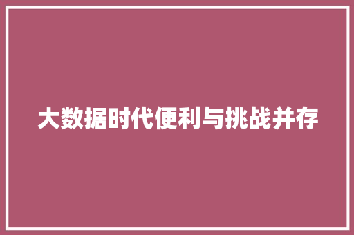 大数据时代便利与挑战并存