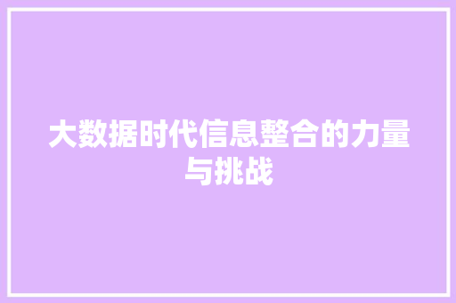 大数据时代信息整合的力量与挑战