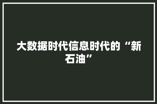 大数据时代信息时代的“新石油”