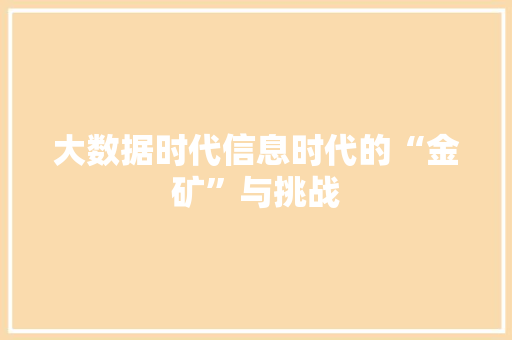 大数据时代信息时代的“金矿”与挑战