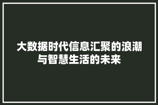 大数据时代信息汇聚的浪潮与智慧生活的未来
