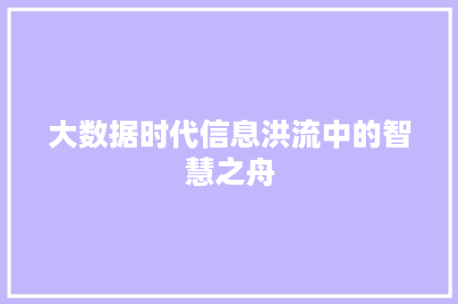 大数据时代信息洪流中的智慧之舟