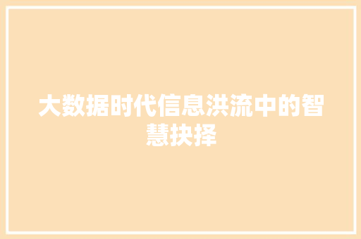 大数据时代信息洪流中的智慧抉择