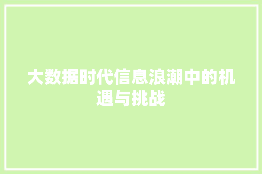 大数据时代信息浪潮中的机遇与挑战