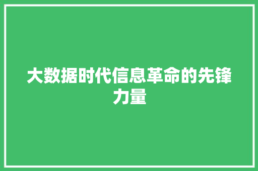 大数据时代信息革命的先锋力量