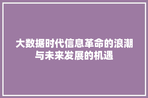 大数据时代信息革命的浪潮与未来发展的机遇
