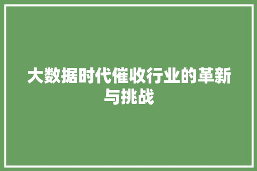 大数据时代催收行业的革新与挑战