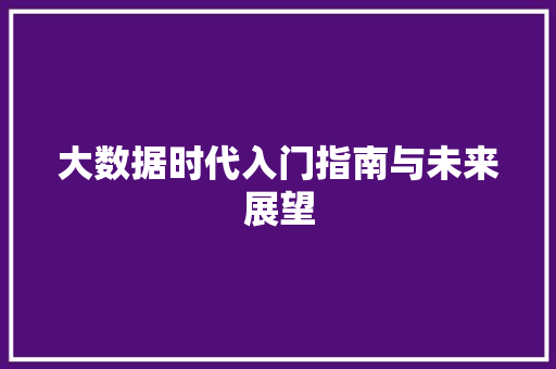 大数据时代入门指南与未来展望