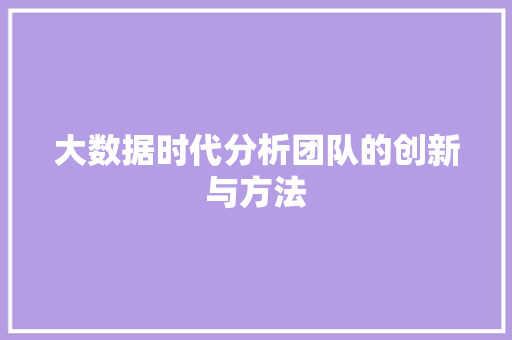 大数据时代分析团队的创新与方法