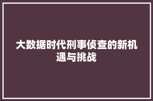 大数据时代刑事侦查的新机遇与挑战