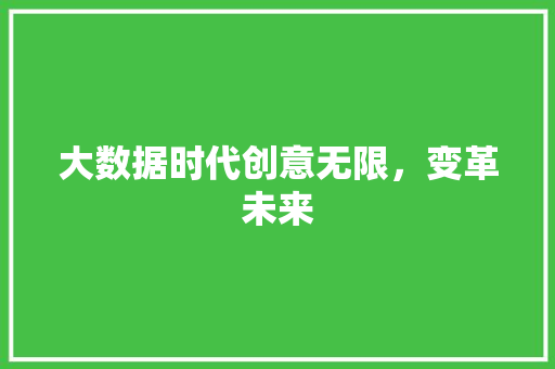 大数据时代创意无限，变革未来