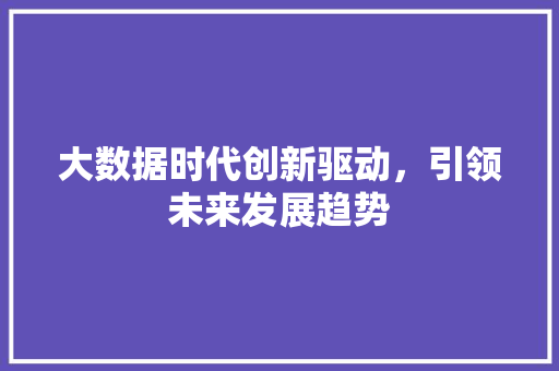 大数据时代创新驱动，引领未来发展趋势