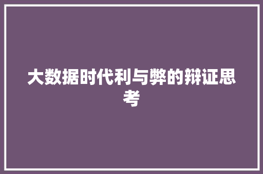 大数据时代利与弊的辩证思考