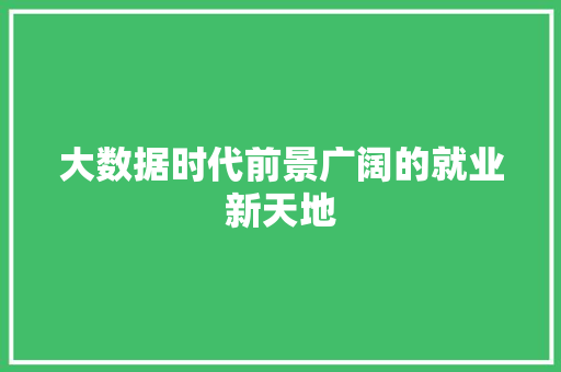 大数据时代前景广阔的就业新天地