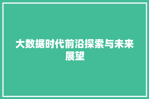 大数据时代前沿探索与未来展望