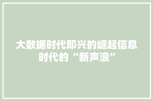 大数据时代即兴的崛起信息时代的“新声浪”