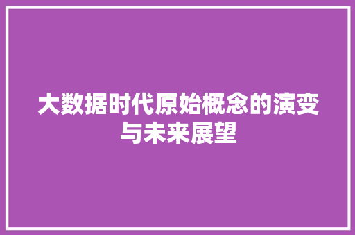 大数据时代原始概念的演变与未来展望
