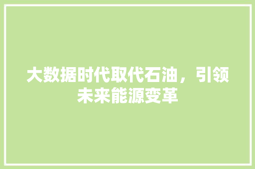 大数据时代取代石油，引领未来能源变革