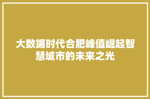 大数据时代合肥峰值崛起智慧城市的未来之光