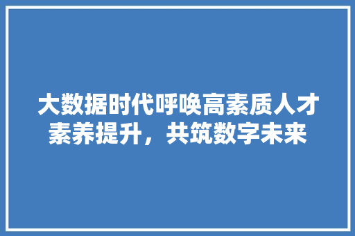 大数据时代呼唤高素质人才素养提升，共筑数字未来