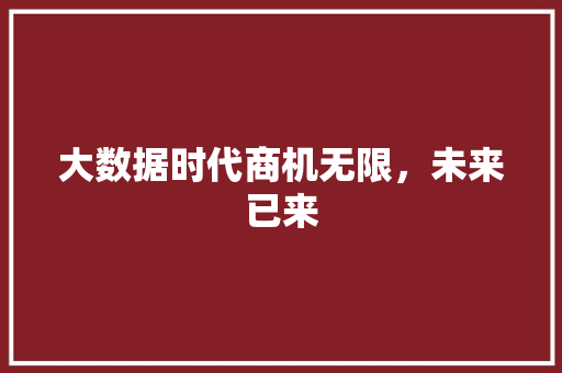 大数据时代商机无限，未来已来