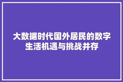 大数据时代国外居民的数字生活机遇与挑战并存