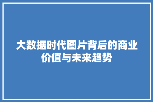 大数据时代图片背后的商业价值与未来趋势