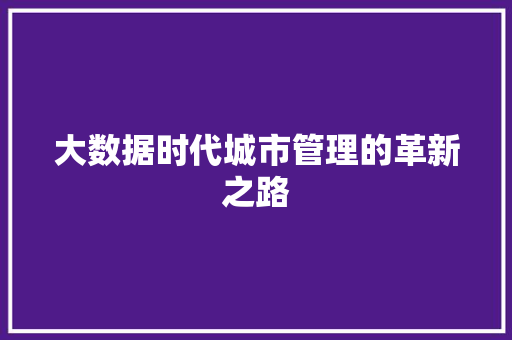 大数据时代城市管理的革新之路
