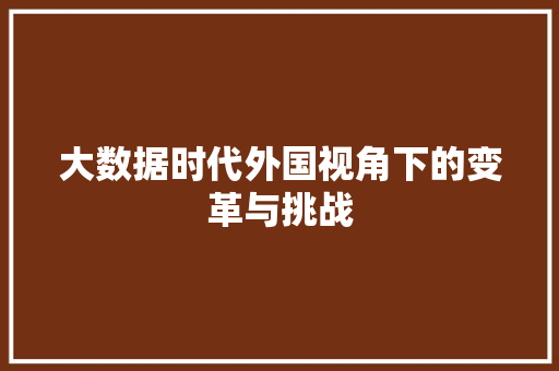 大数据时代外国视角下的变革与挑战