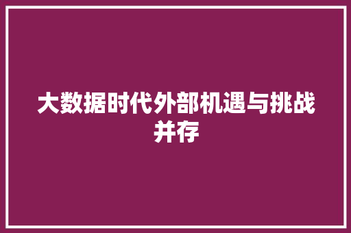 大数据时代外部机遇与挑战并存